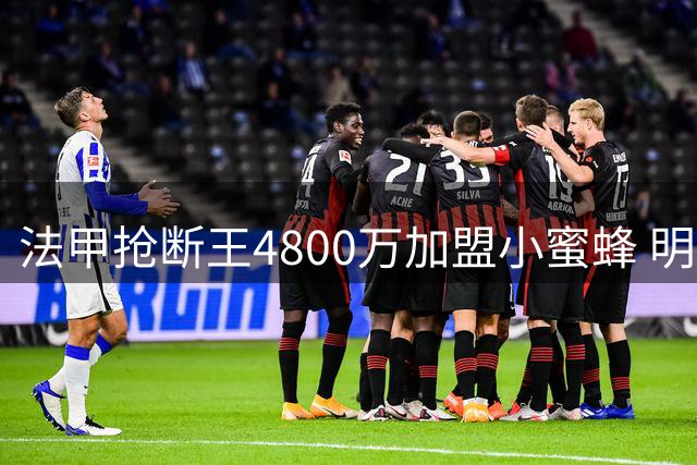 法甲抢断王4800万加盟小蜜蜂 明年或升值至1亿英镑