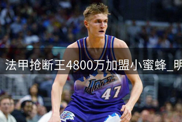 法甲抢断王4800万加盟小蜜蜂 明年或升值至1亿英镑