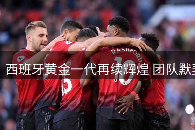 西班牙黄金一代再续辉煌 团队默契铸就欧洲杯卫冕之路
